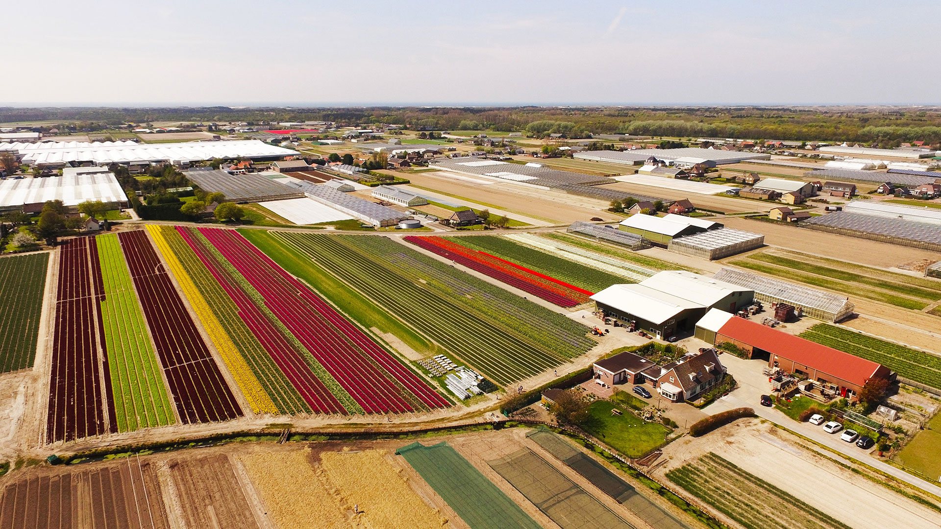 Welkom bij M.M. Duin / Bearflowers